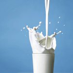 Тотемское молоко – лучшее на востоке области